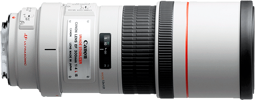 A fixed telephoto, the 300mm f/4L offers prime lens sharpness not found in telephoto zooms.