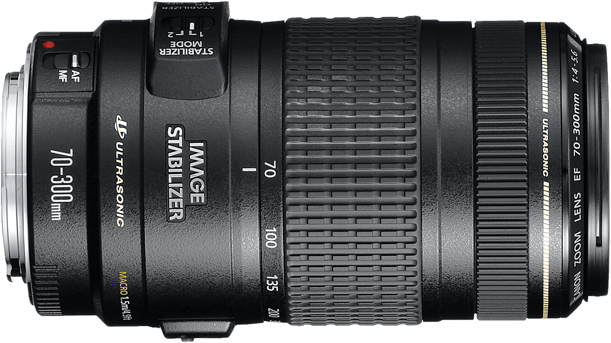 An affordable superzoom lens, works very well in good light.