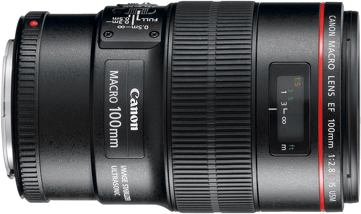 Canon's high end version of the 100mm f/2.8, adding a latest generation image stabilizer to an already impressive lens.