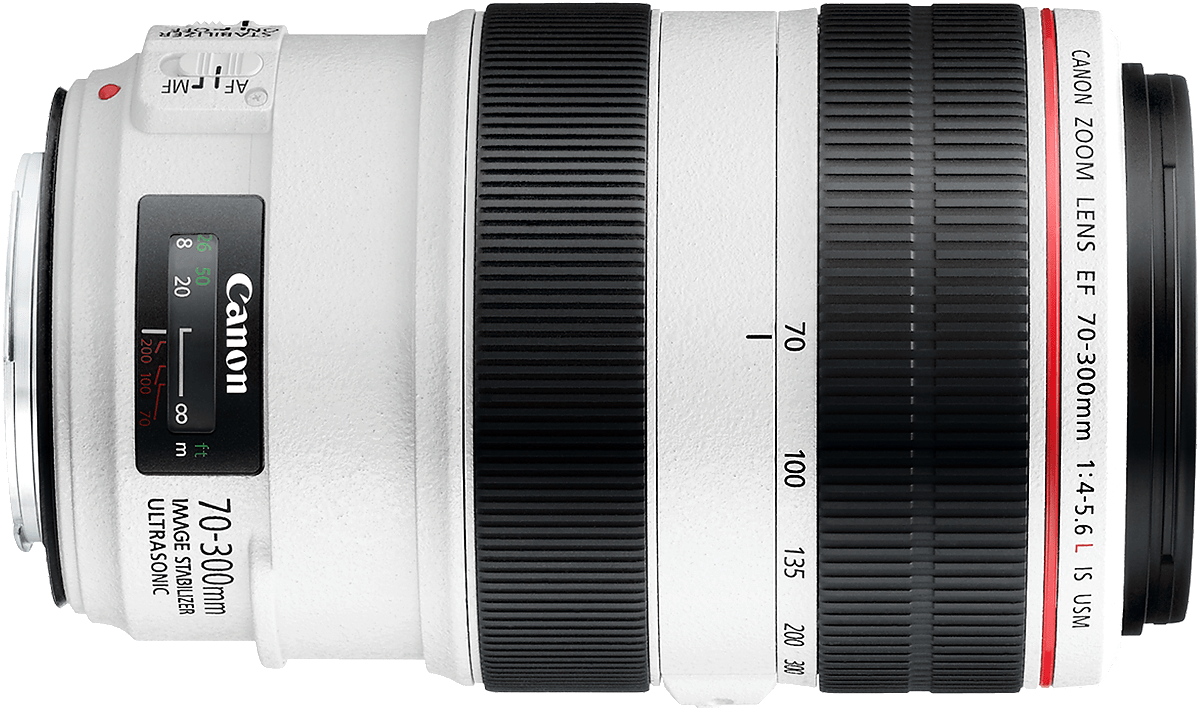 A compact L quality superzoom.