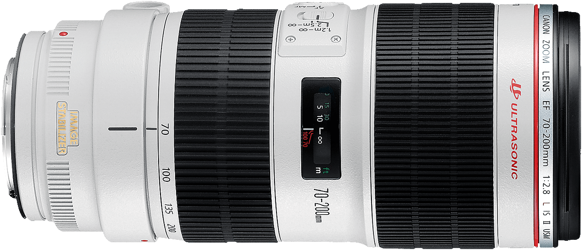 The standard zoom lens for sporting action. Low light performance is very good with f/2.8 aperture and image stabilizer. This is the newest version II model