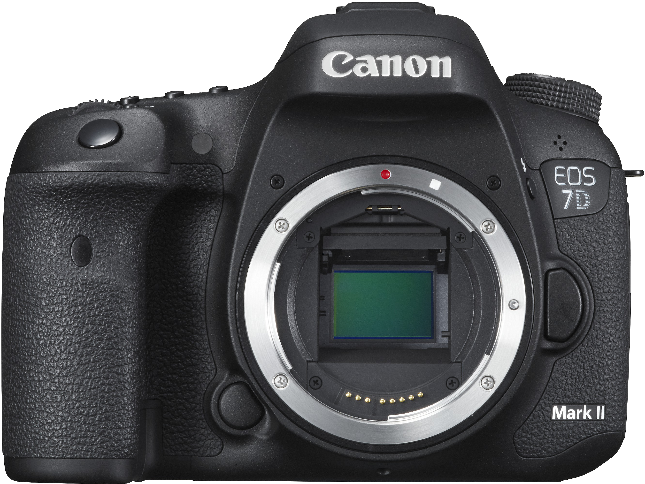 Canon's flagship crop sensor camera with high end autofocus and 10fps shooting. Great for sports or action.