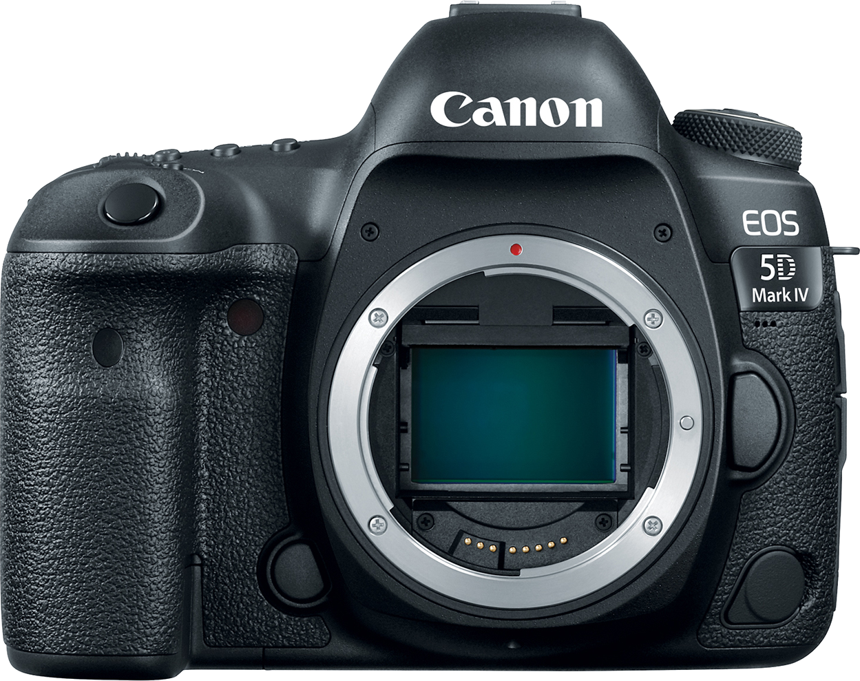 30.4 megapixel DSLR with 7fps, built-in wifi and touch screen